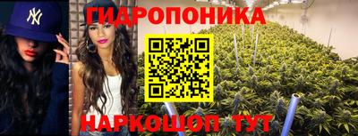 ешки Кинель