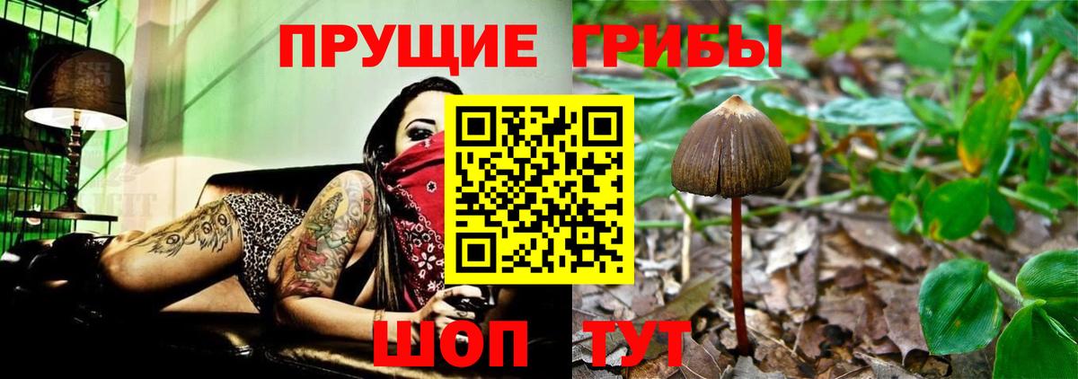 Псилоцибиновые грибы GOLDEN TEACHER  Вход с VPN  цена наркотик  Аксай 